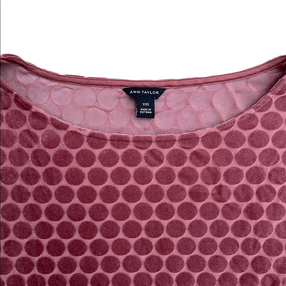 Excellent Condition Ann Taylor Blouse XXS - Picture 2 of 4